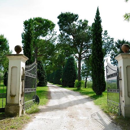 Agriturismo Al Colle Bertinoro Exterior photo