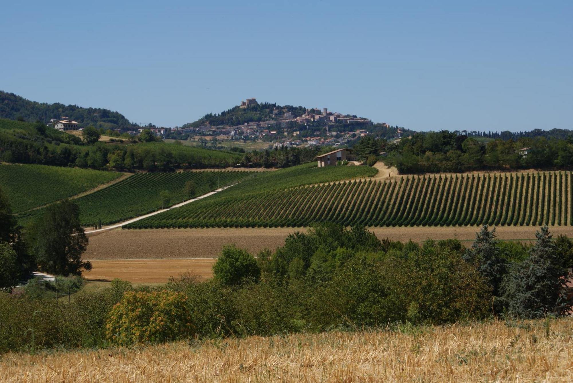 Agriturismo Al Colle Bertinoro Exterior photo